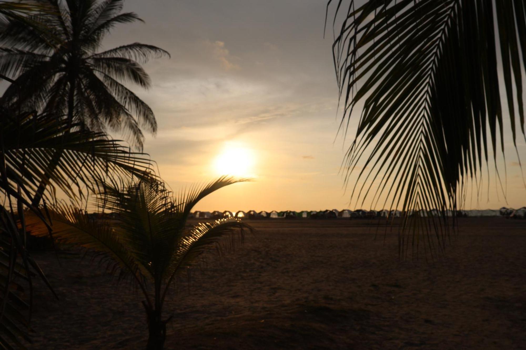 Morros Epic Con Acceso Directo A La Playa *